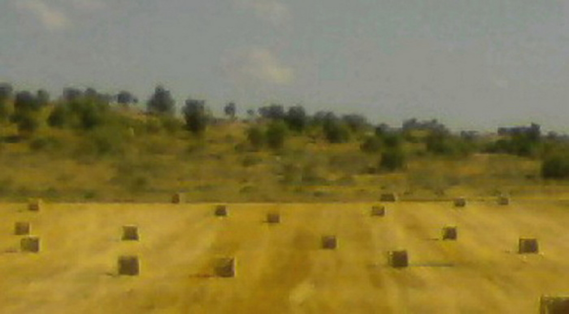 נוף, ארץ | LANDscape
