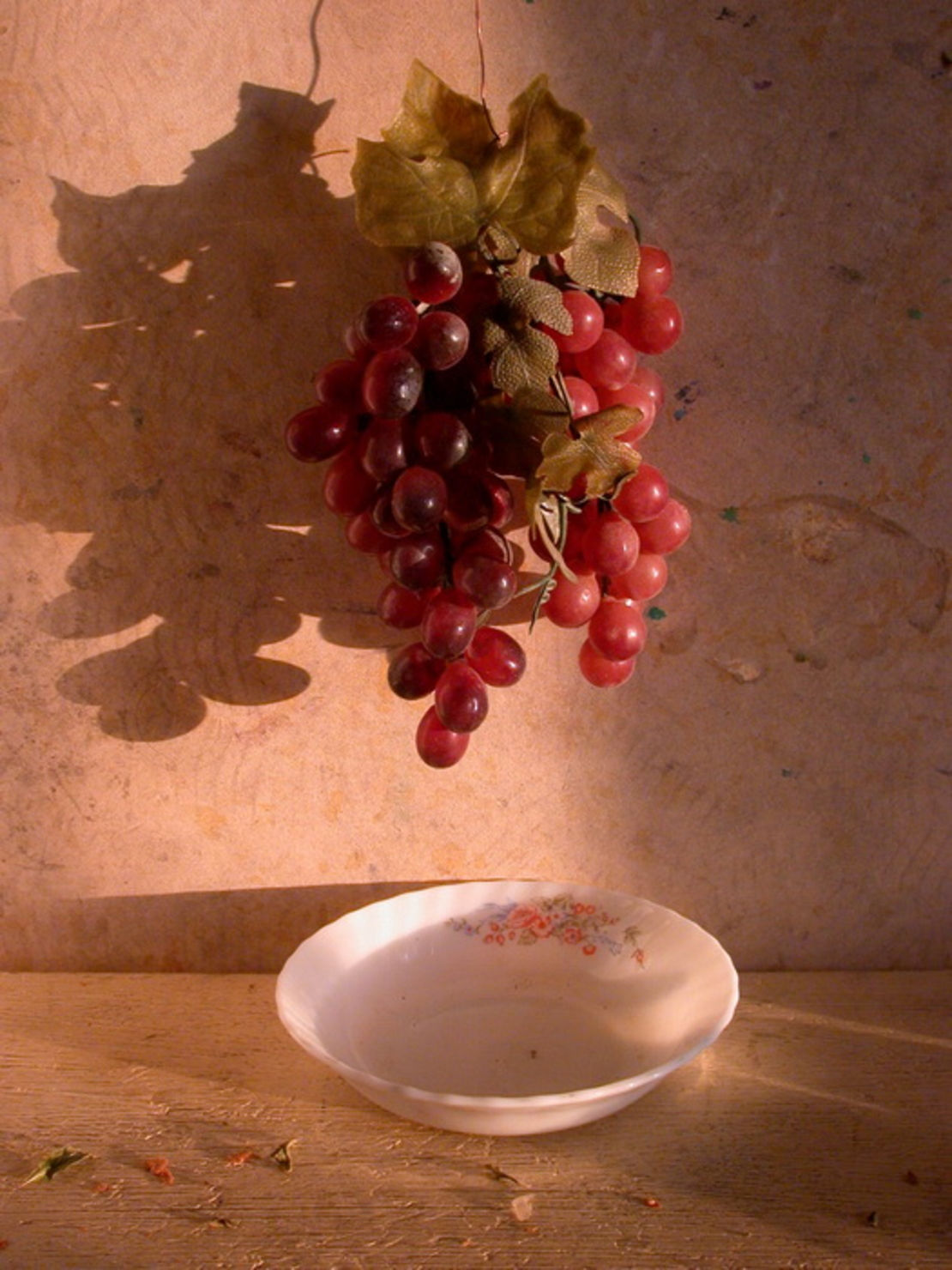 טבע דומם | still life