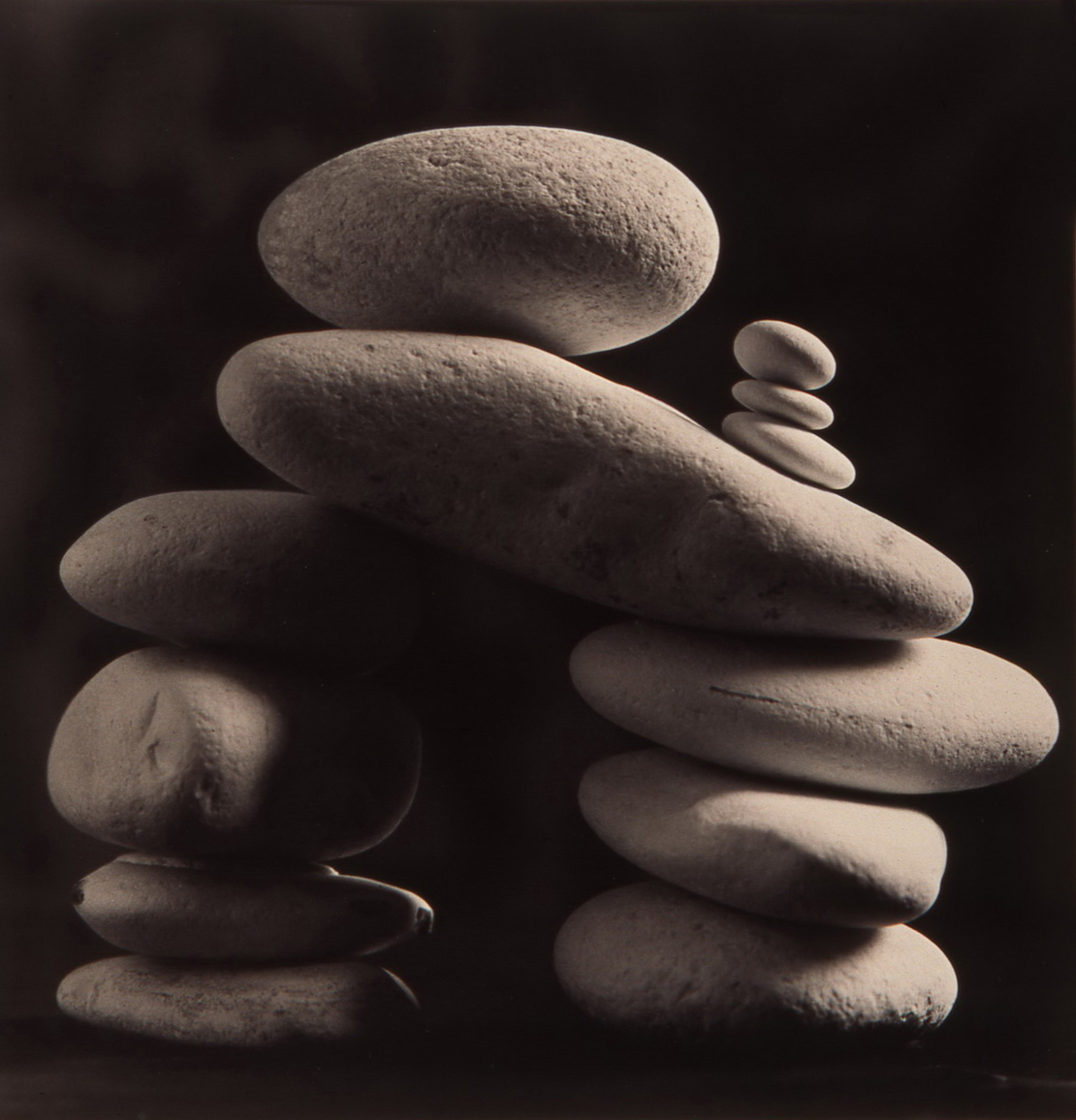 טבע דומם | still life