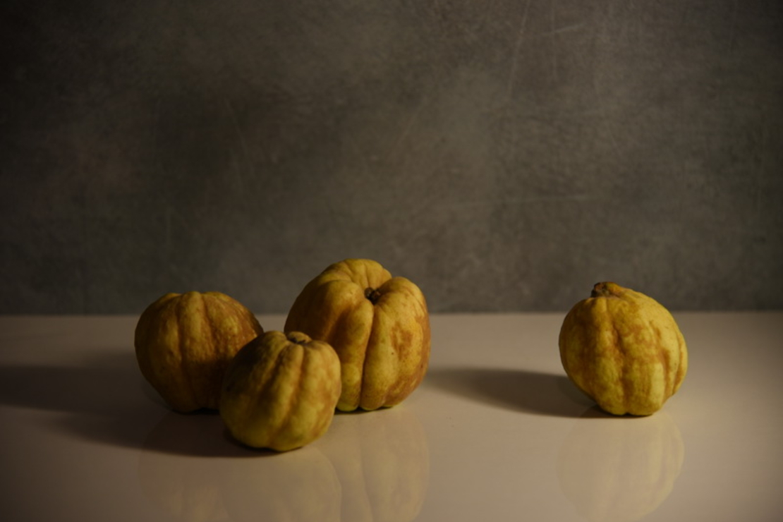 טבע דומם | still life