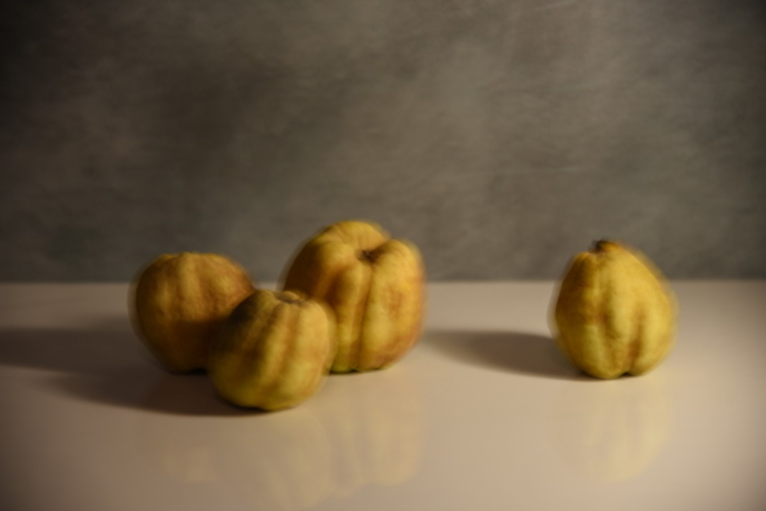 טבע דומם | still life