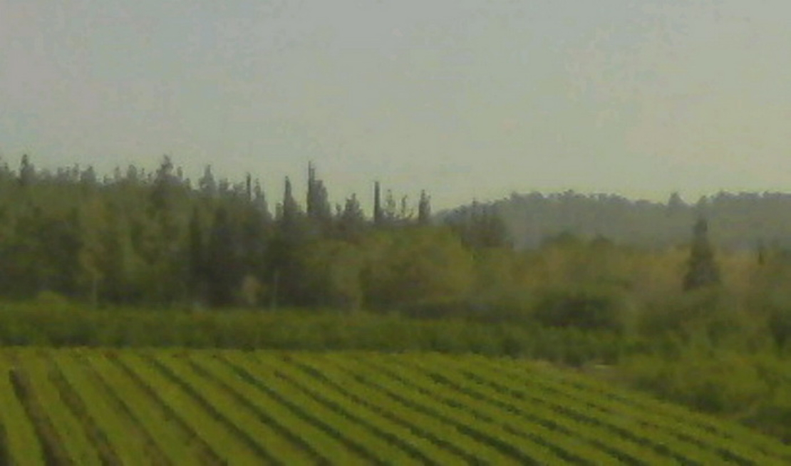 נוף, ארץ | LANDscape