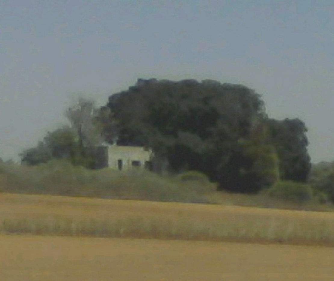 נוף, ארץ | LANDscape