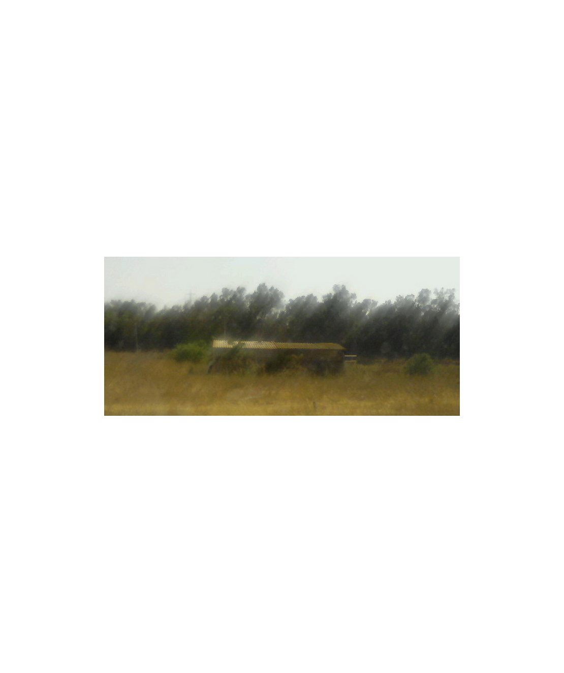 נוף, ארץ | LANDscape