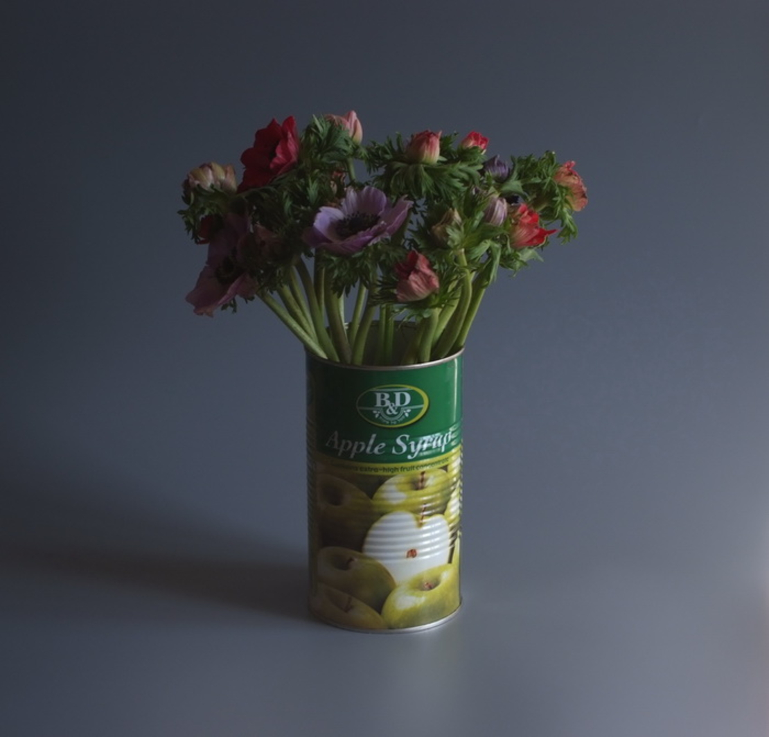 טבע דומם | still life
