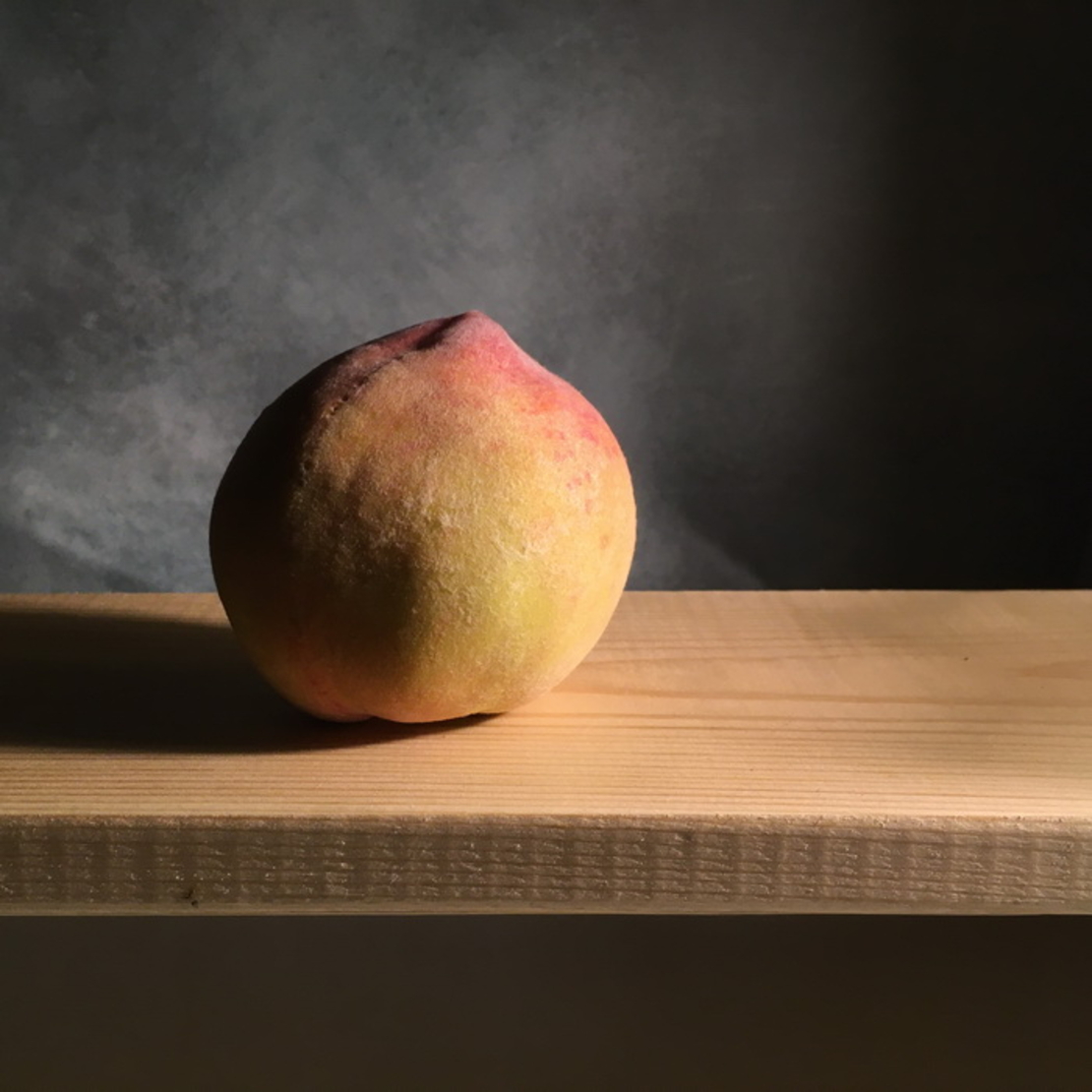 טבע דומם | still life