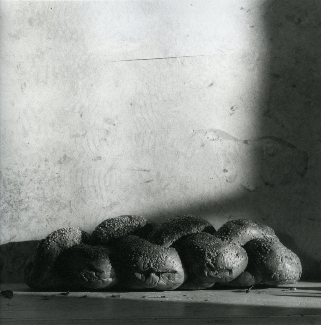 טבע דומם | still life