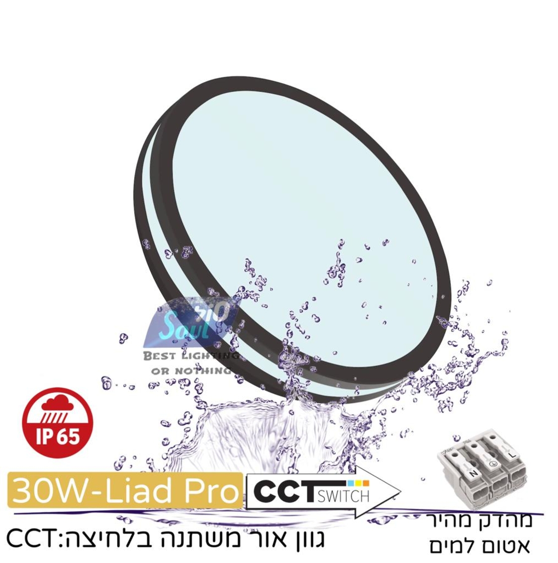 צמוד תקרה 30W ליעד פרו