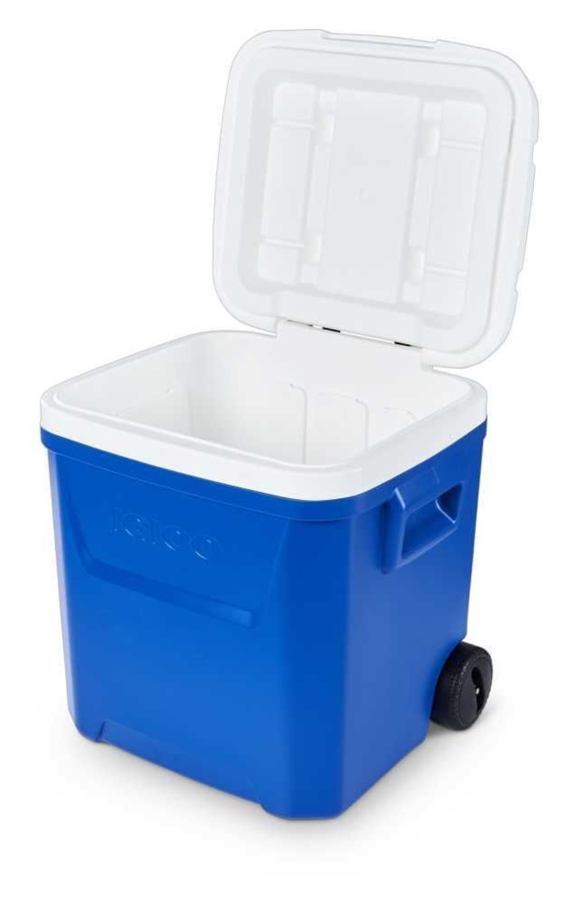 צידנית LAGUNA קשיחה עם גלגלים 56 ליטר IGLOO
