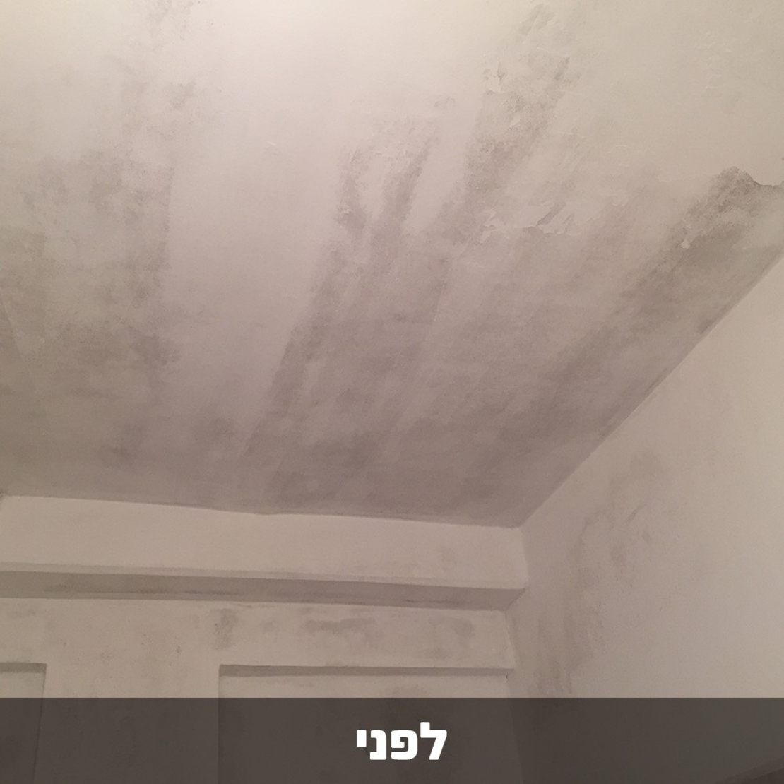 דריילוק 15 - אקסטרים צבע איטום נגד רטיבות ועובש
