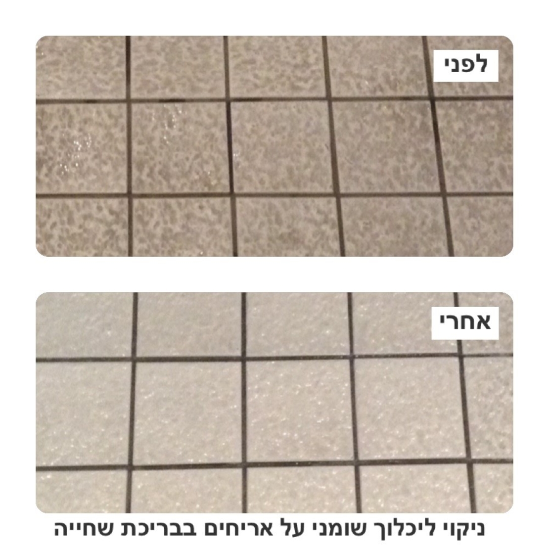 תכשיר לניקוי סילרים, ווקס ושמנים SAG