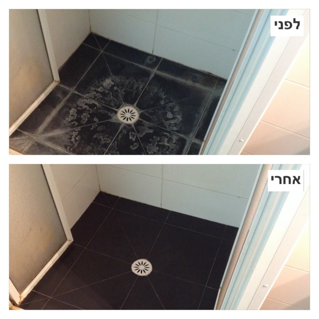 תכשיר לניקוי מלט ורובה SAG