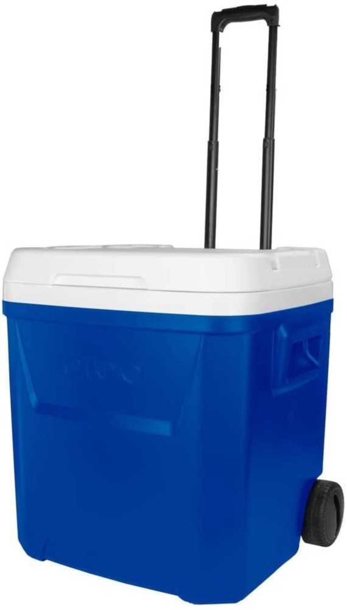 צידנית LAGUNA קשיחה עם גלגלים 56 ליטר IGLOO