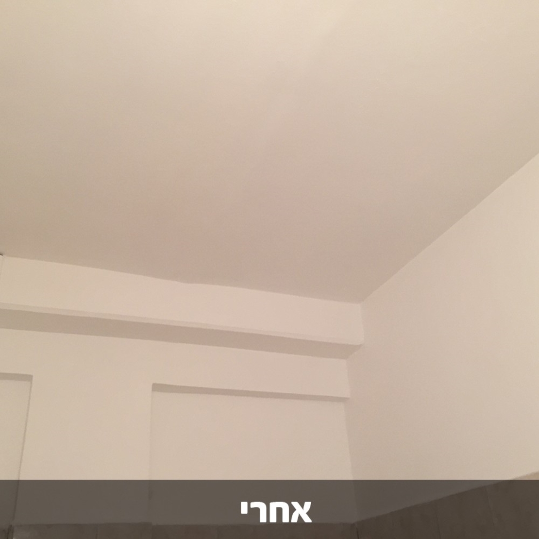 דריילוק 15 - אקסטרים צבע איטום נגד רטיבות ועובש