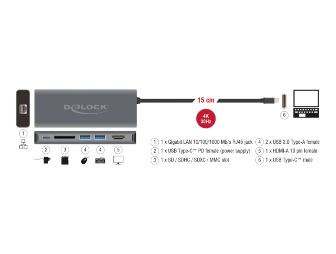 DELOCK USB Type-C™ Docking Station D87721