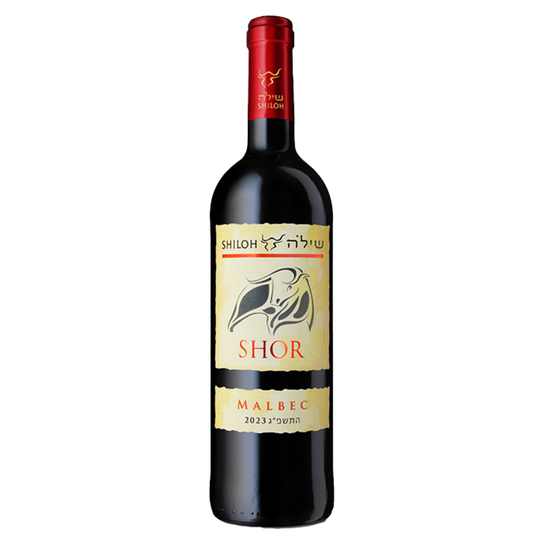 שילה שור מלבק 2024