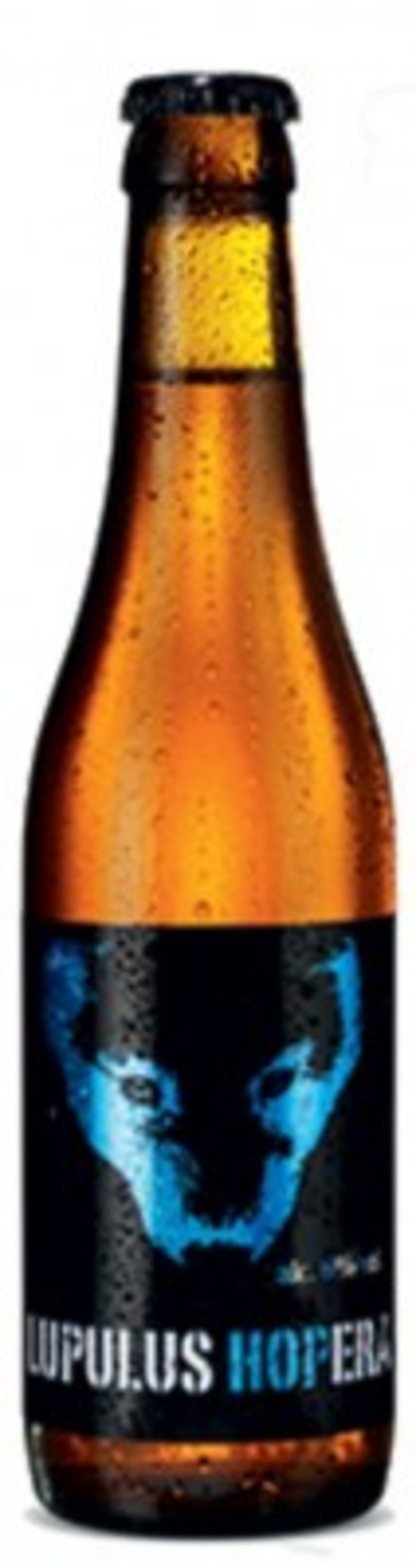 לופולוס הופרה IPA