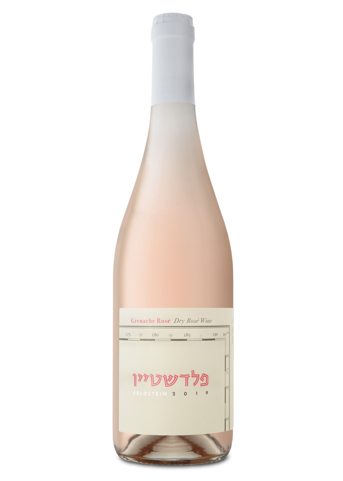 פלדשטיין רוזה