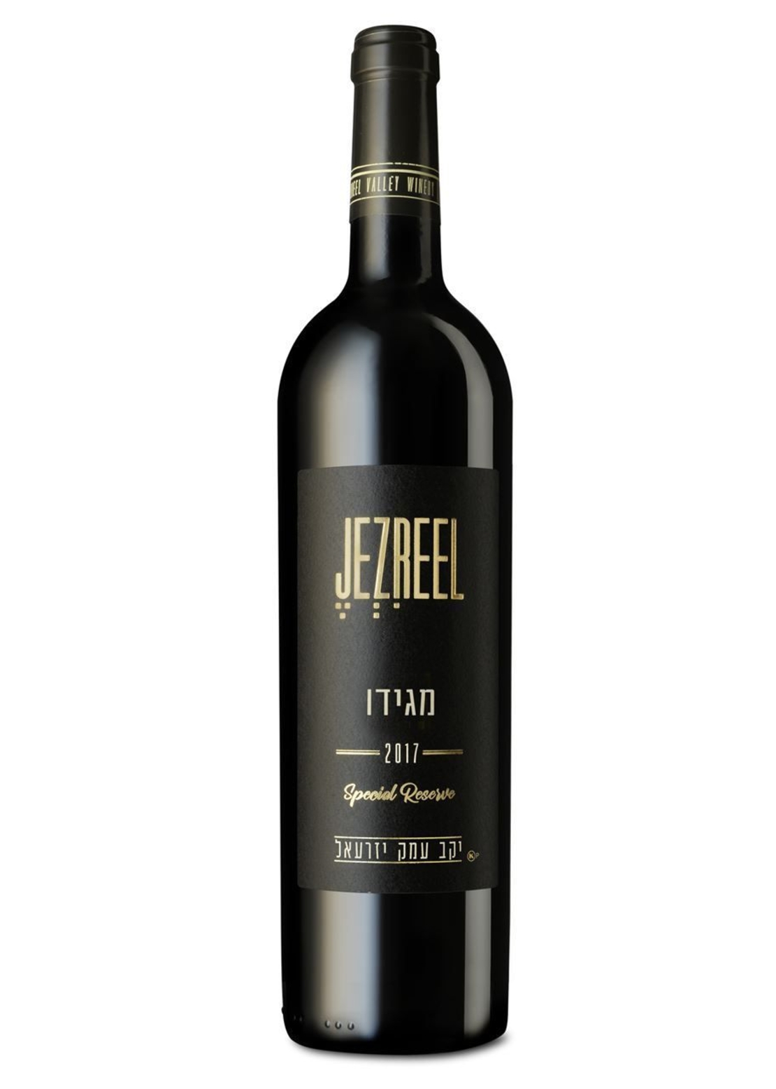 עמק יזרעאל מגידו