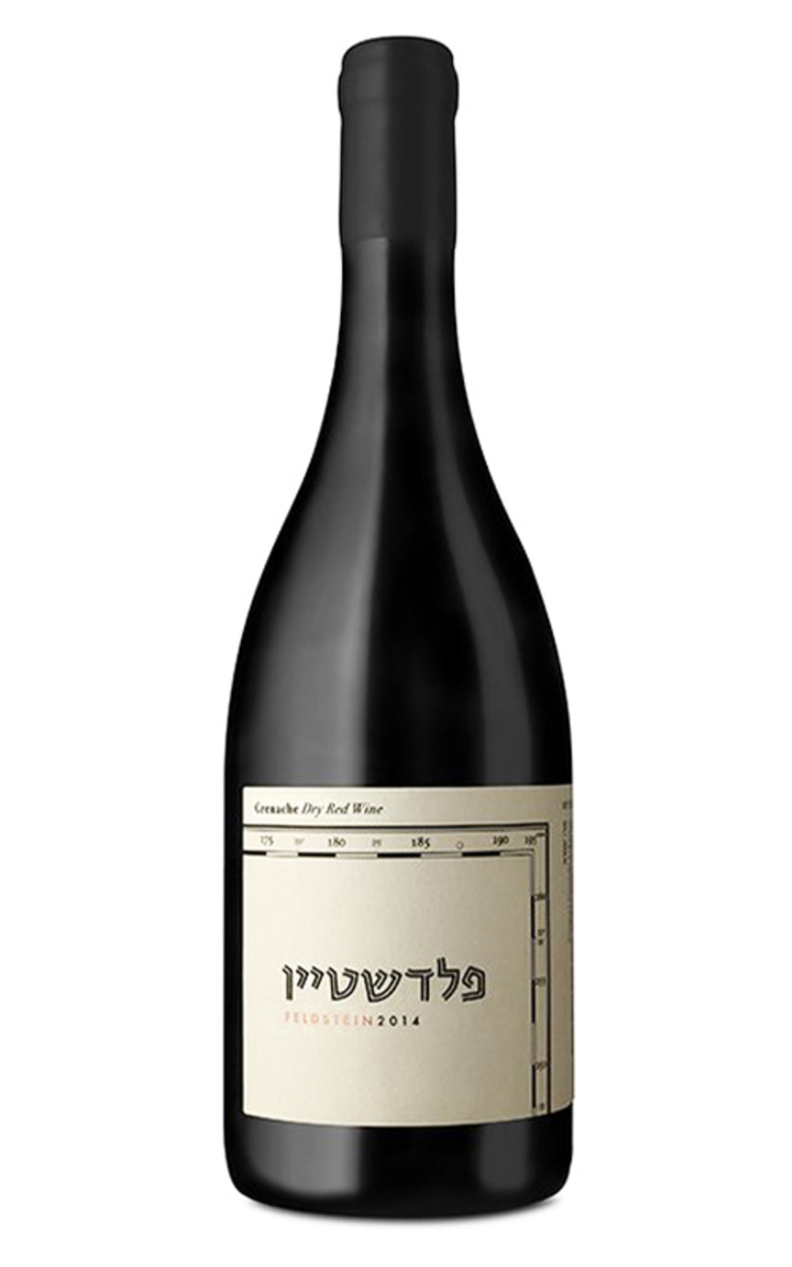 פלדשטיין ארגמן 2019