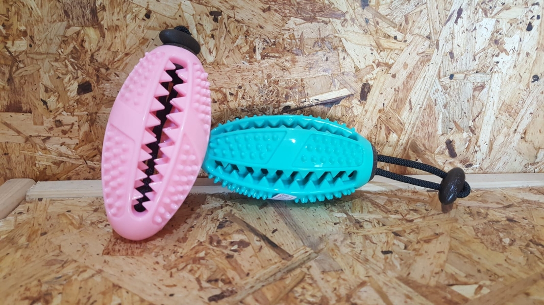 צעצוע לעיסה דנטלי