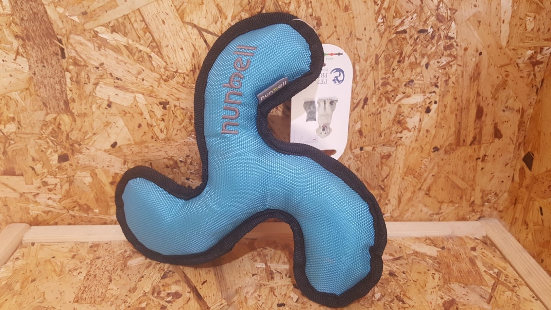 בומרנג לכלב