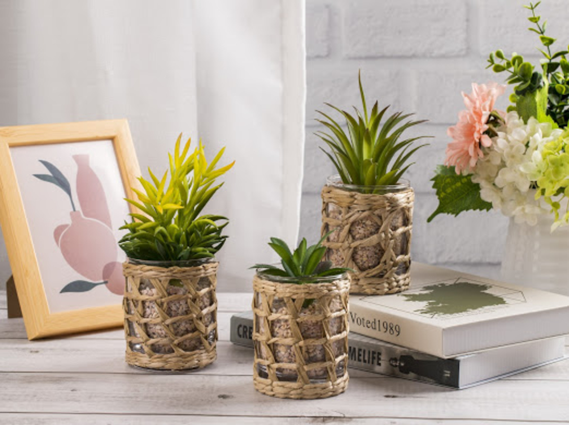 סט 3 עציצים מעוצבים