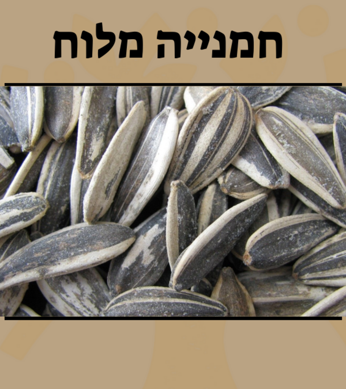 גרעיני חמניה במלח