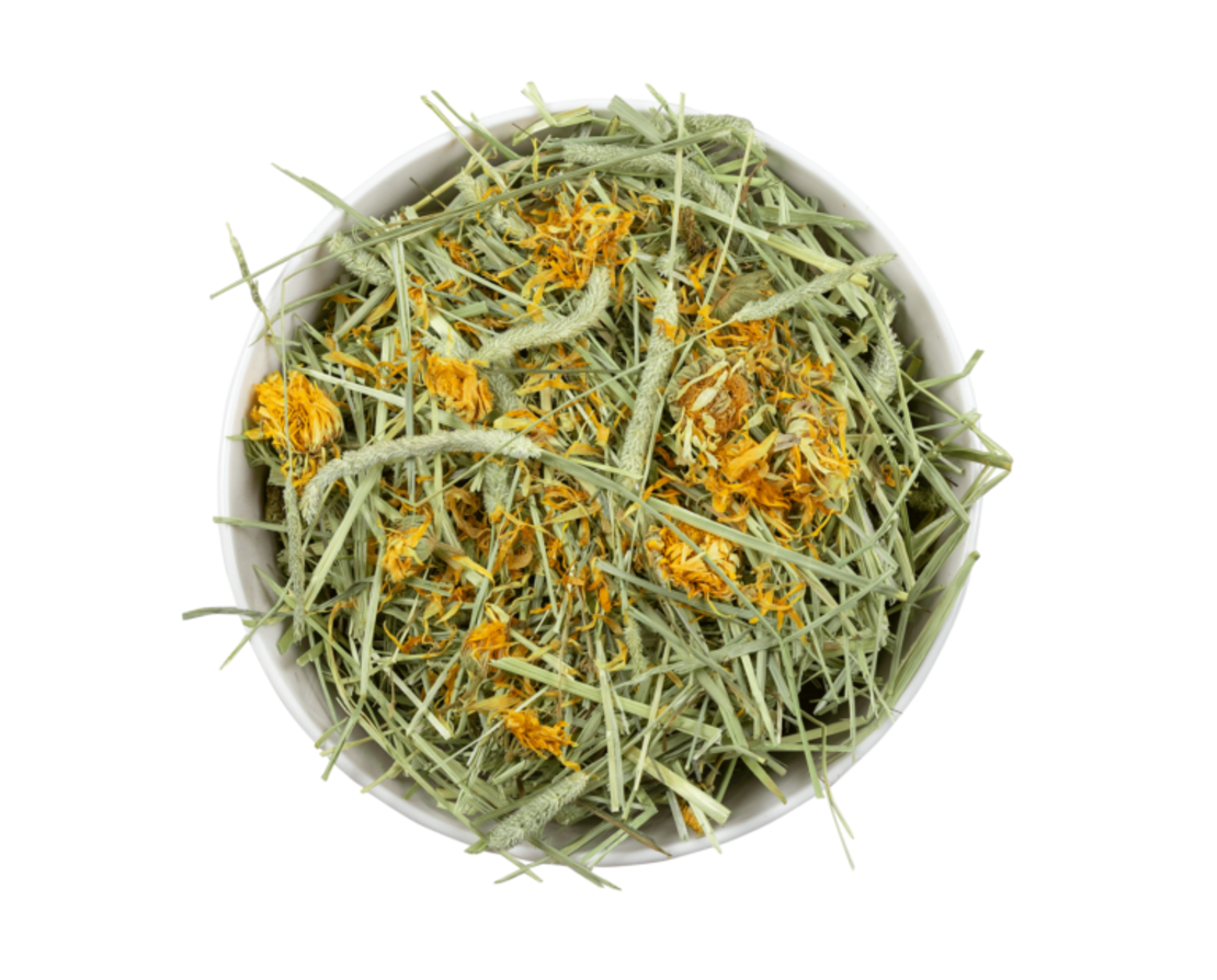 טימותי דלוקס, חיתוך ראשוני- 2.5 ק