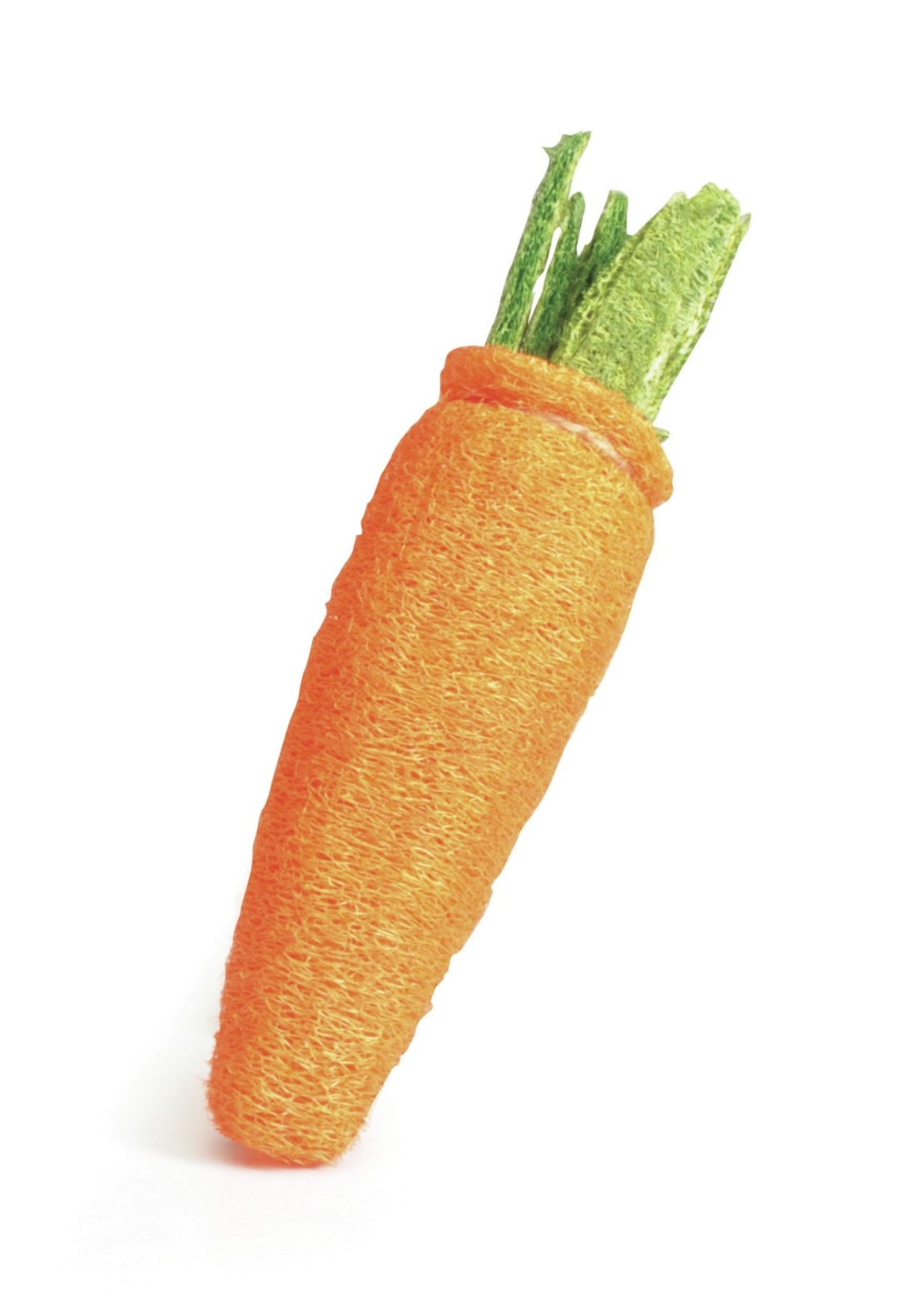 צעצוע בצורת גזר למכרסמים