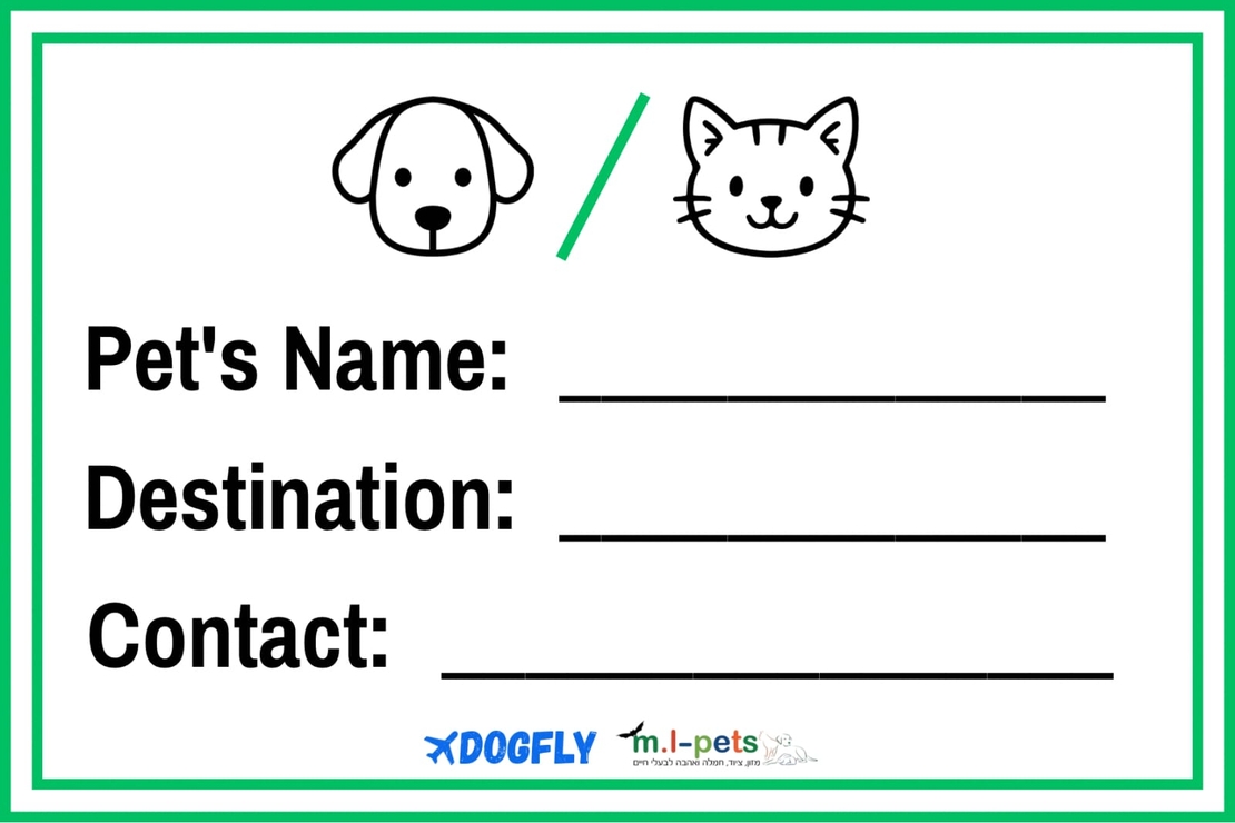 מארז נלווה לכלוב טיסה