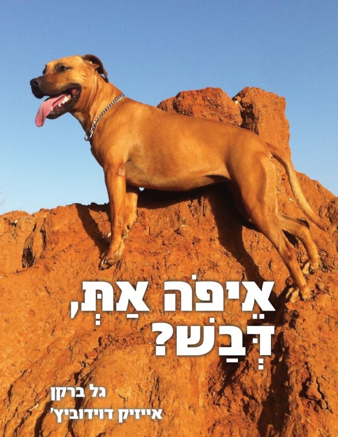 הספר- 