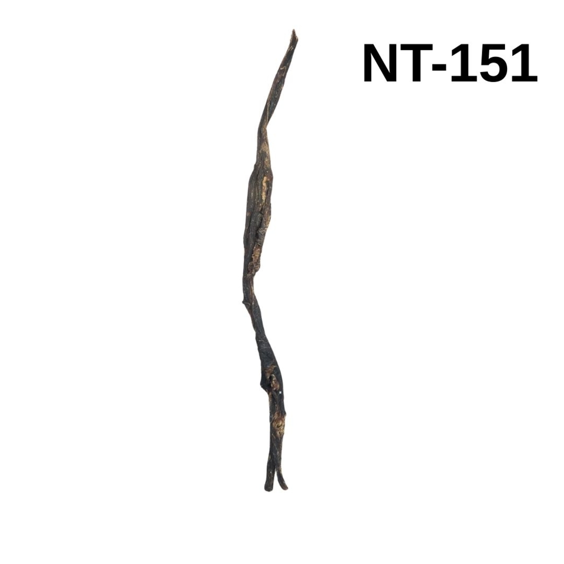 קרניבור ג'רקי גמל