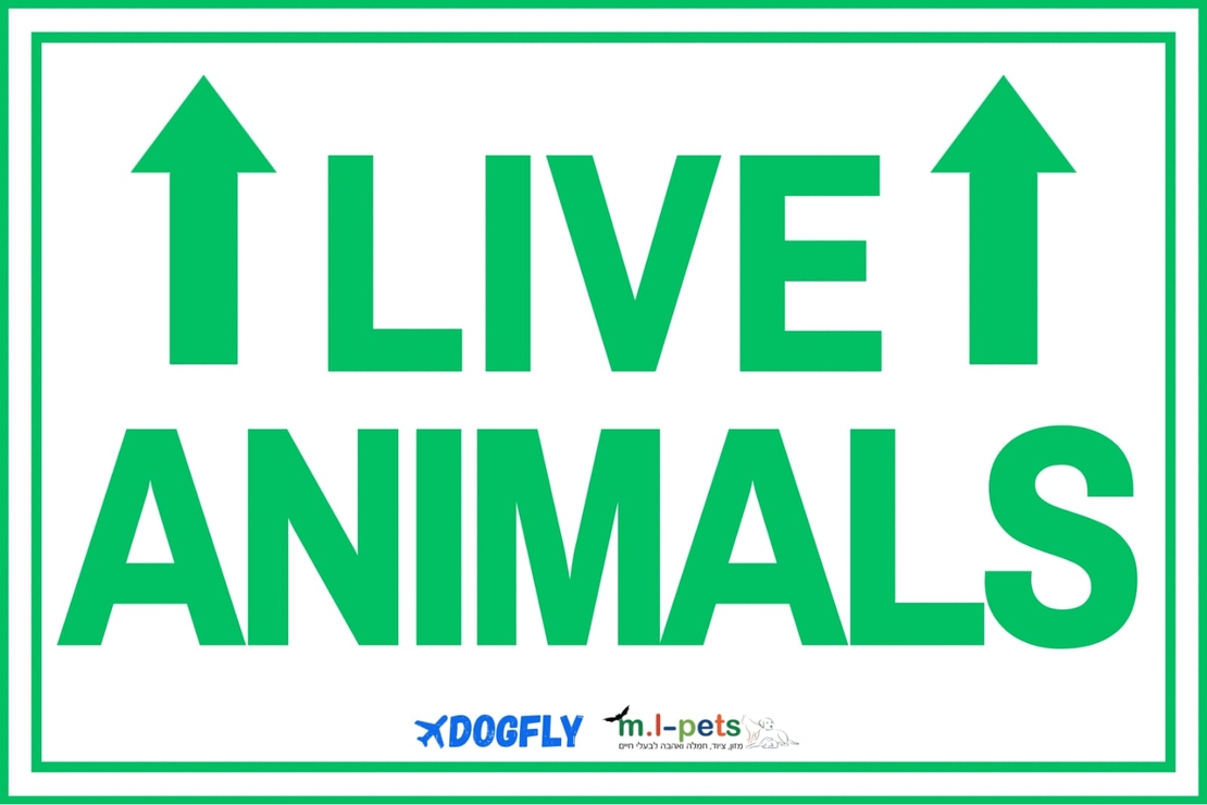 מארז נלווה לכלוב טיסה