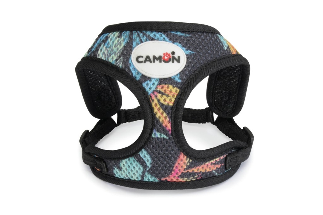 ריתמה לכלב קטן - קמון