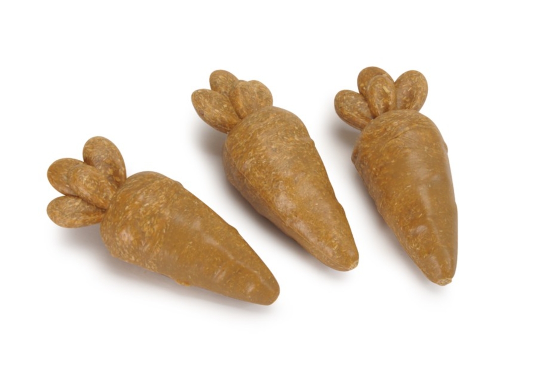 חטיף גזר למכרסמים