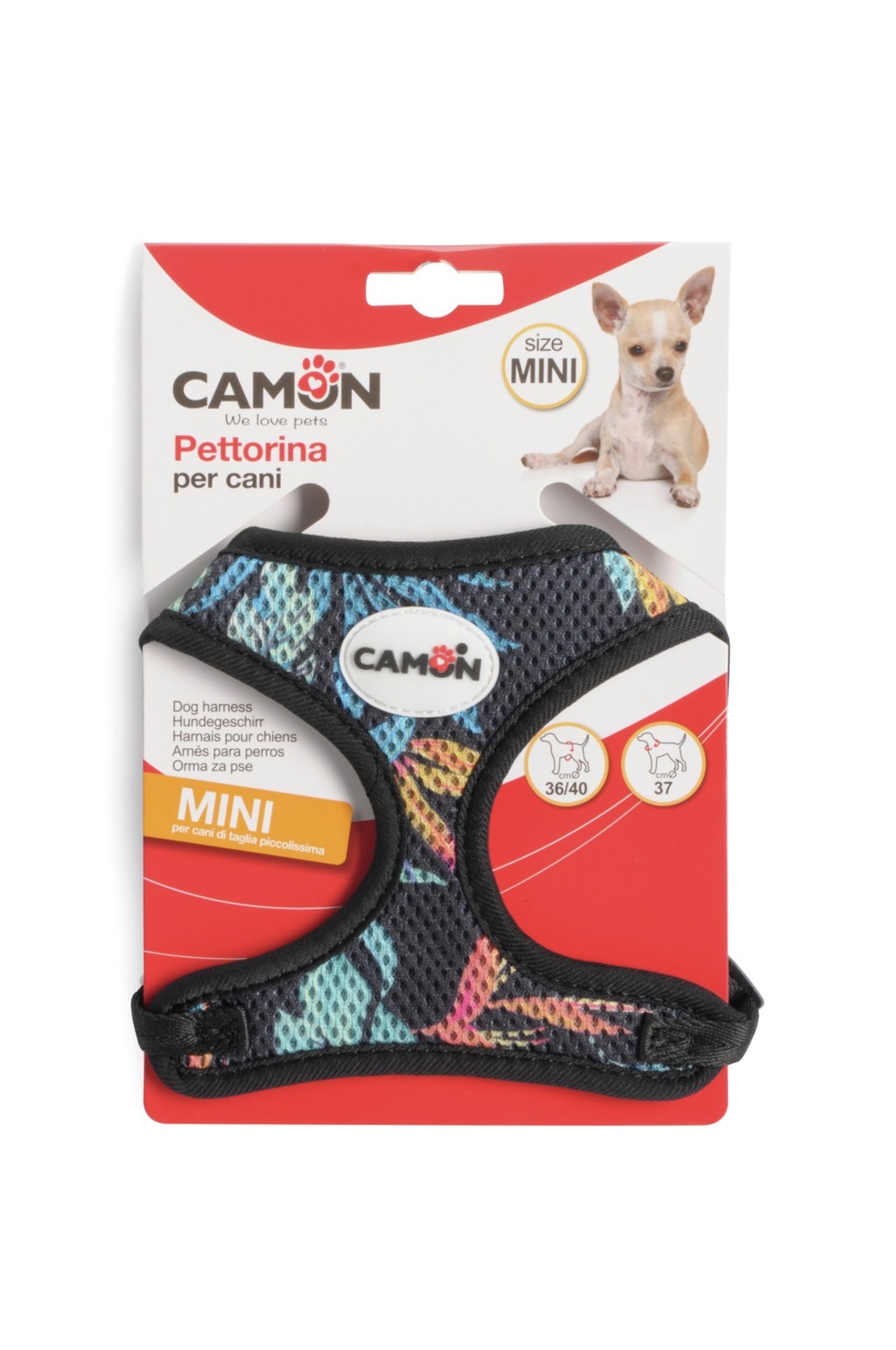 ריתמה לכלב קטן - קמון