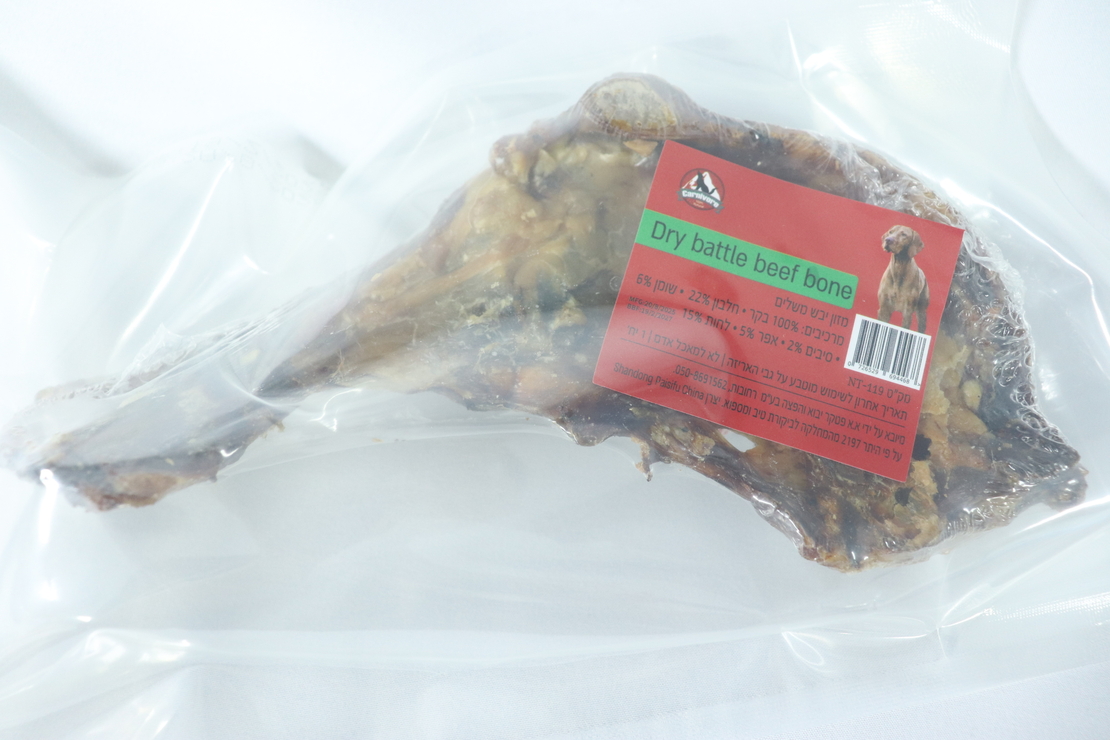 קרניבור עצם כתף