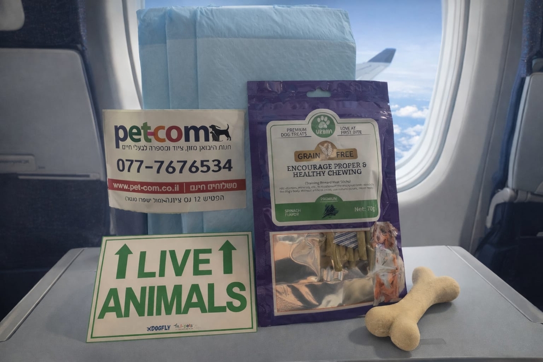 מארז נלווה לכלוב טיסה