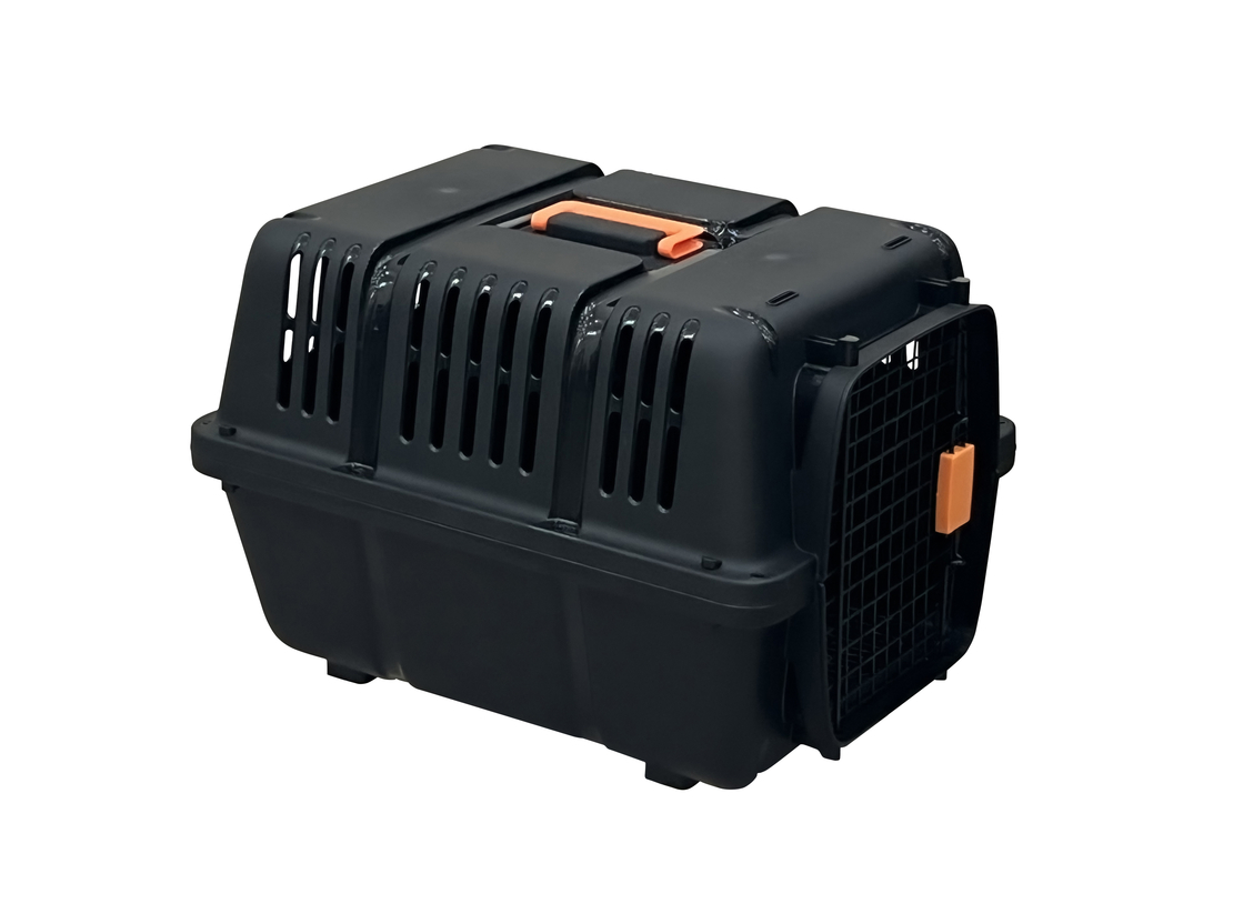 כלוב נשיאה / מנשא עם דלת ברזל  31X31X46 ס