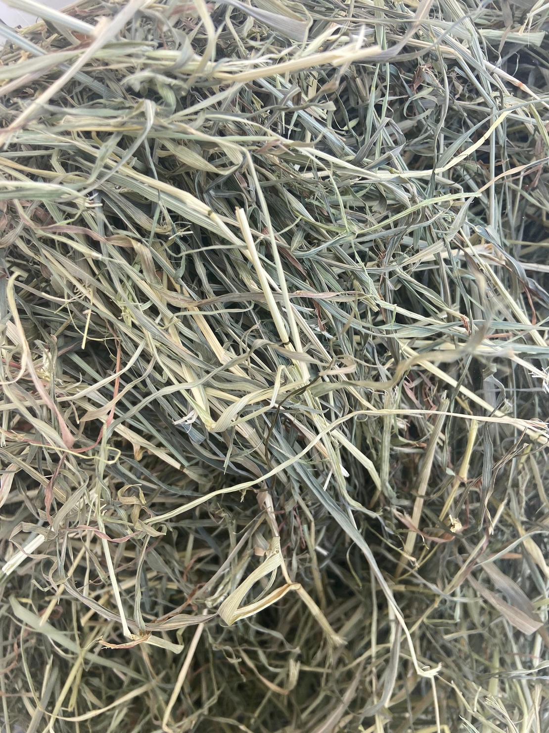 חציר שיבולת שועל 1 ק