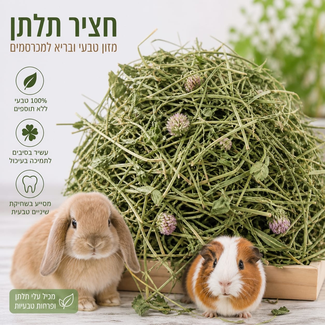 חציר תלתן למכרסמים - 5 ק