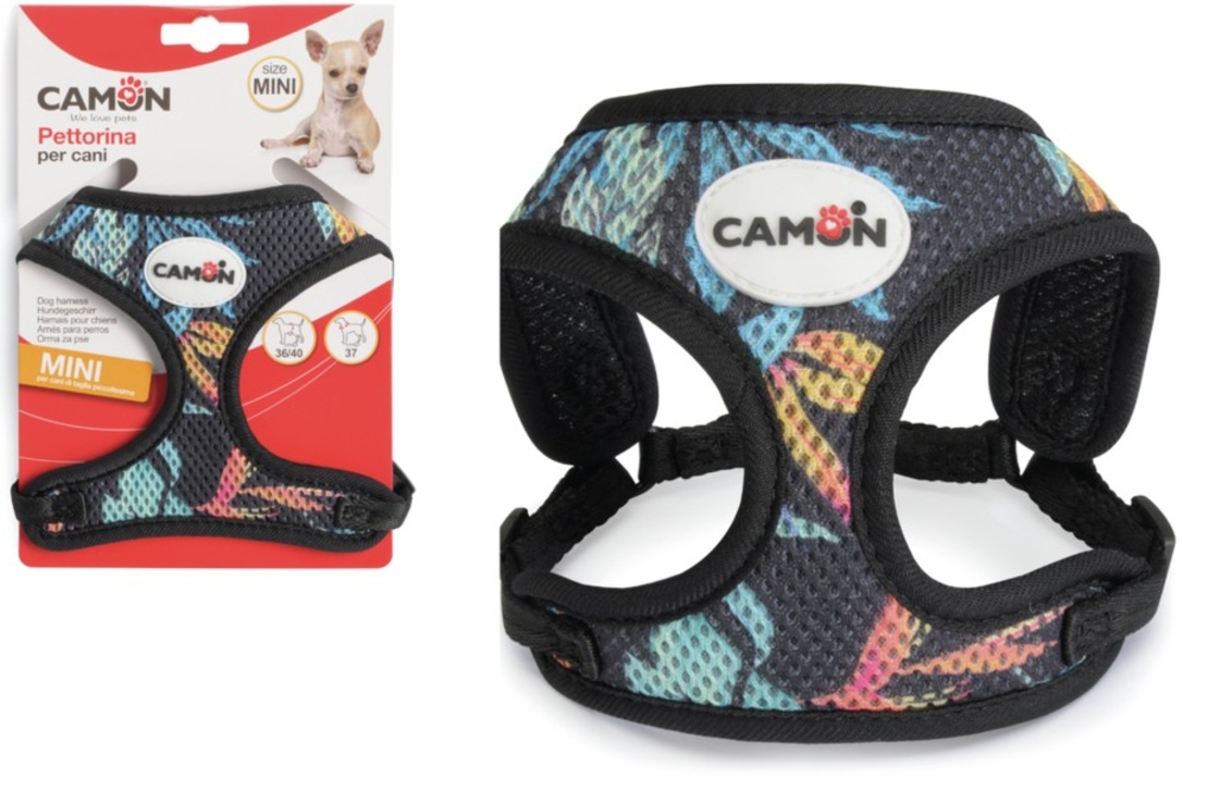 ריתמה לכלב קטן - קמון