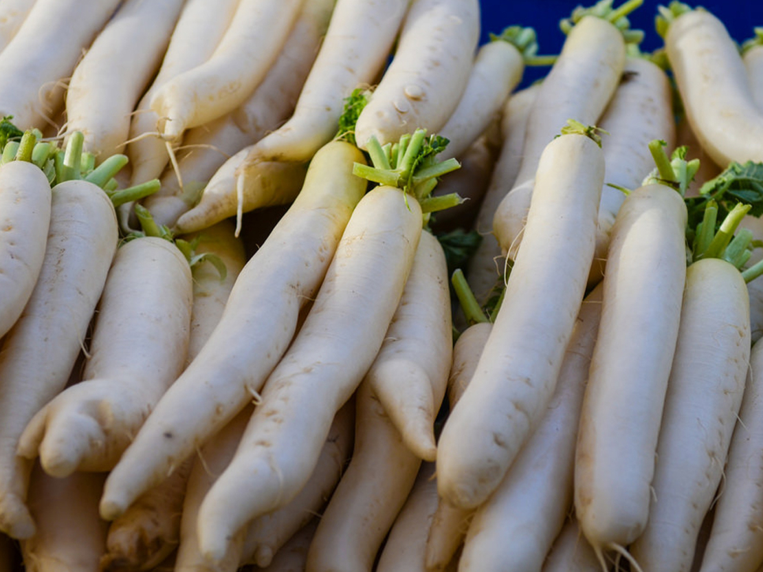 Japanese Radish -Labanos 1 kilo