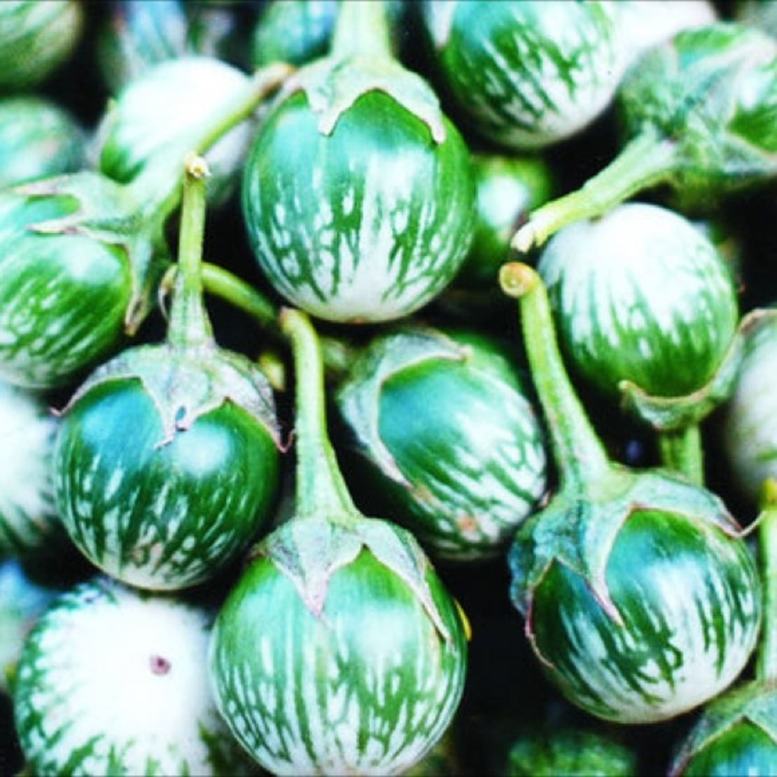 Round Eggplant half kilo