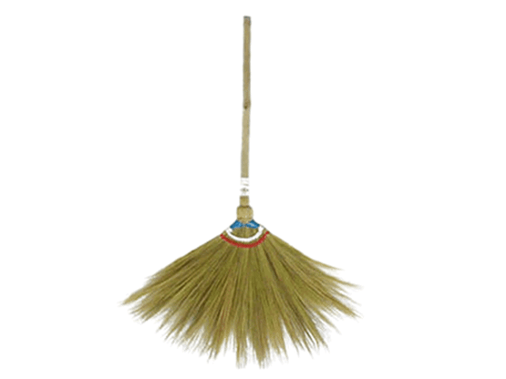 Walis TingTing 