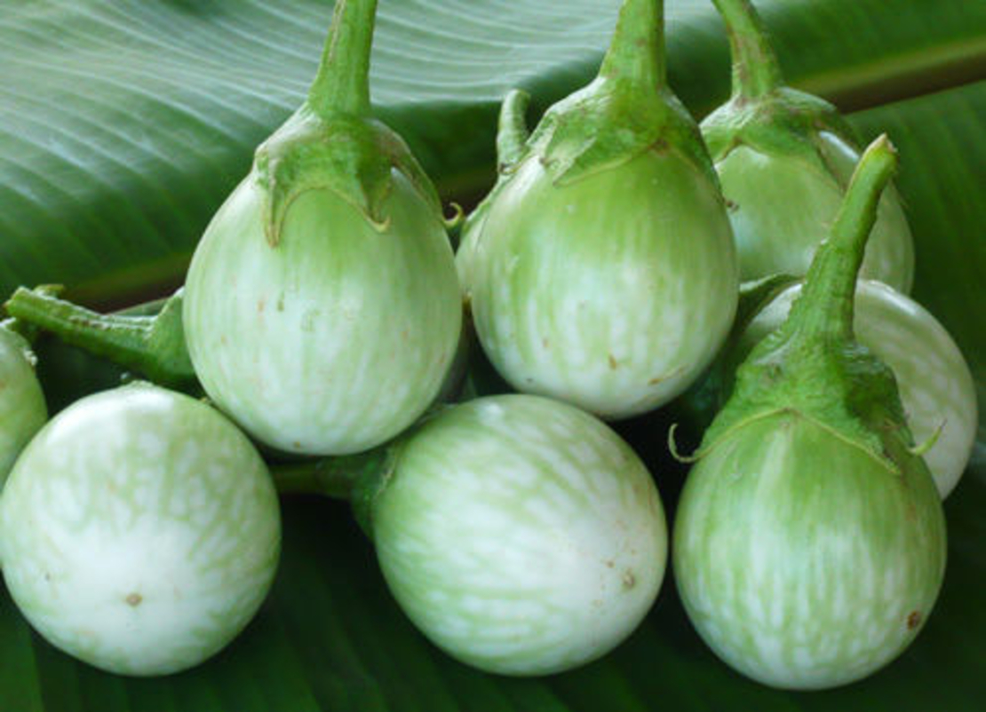 Round thai light green Eggplant half kilo