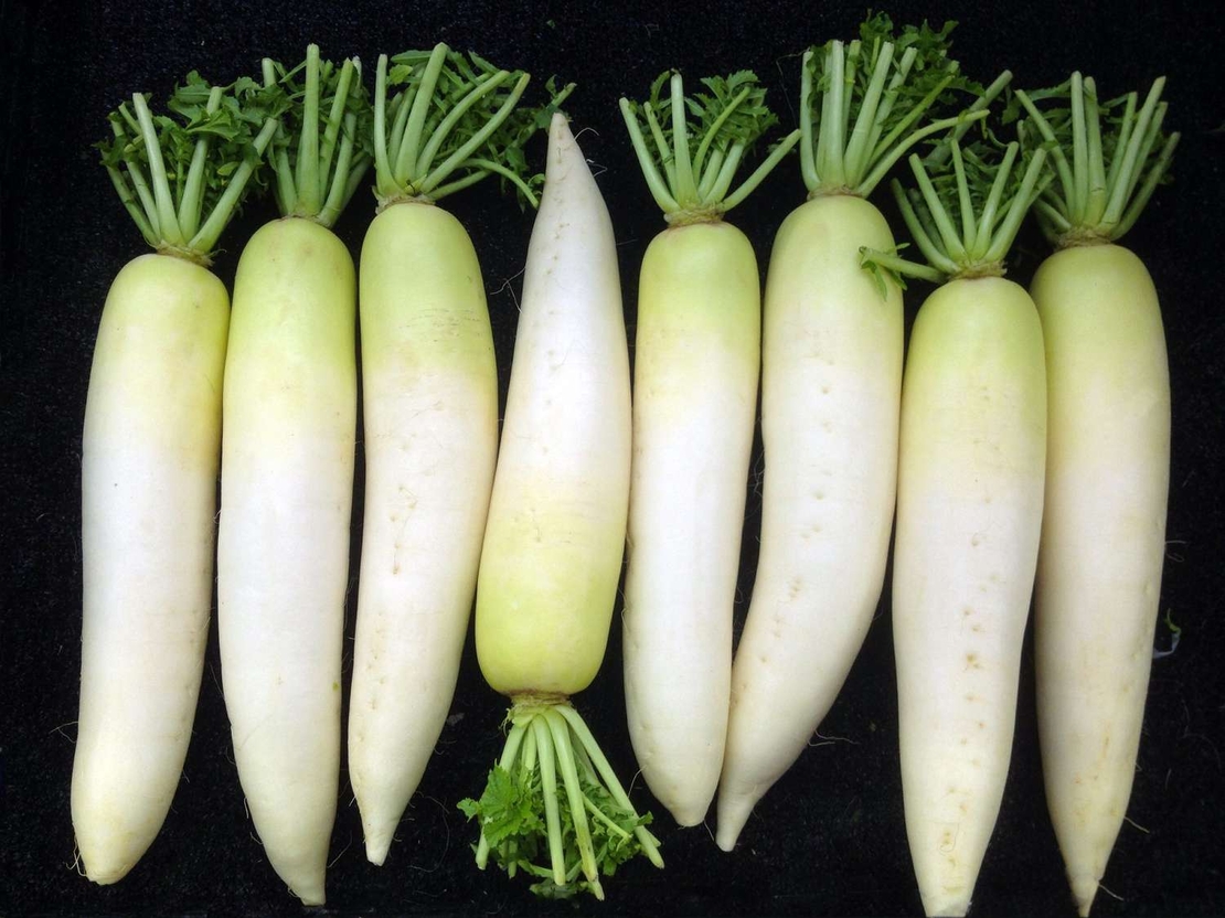 Japanese Raddish per kilo