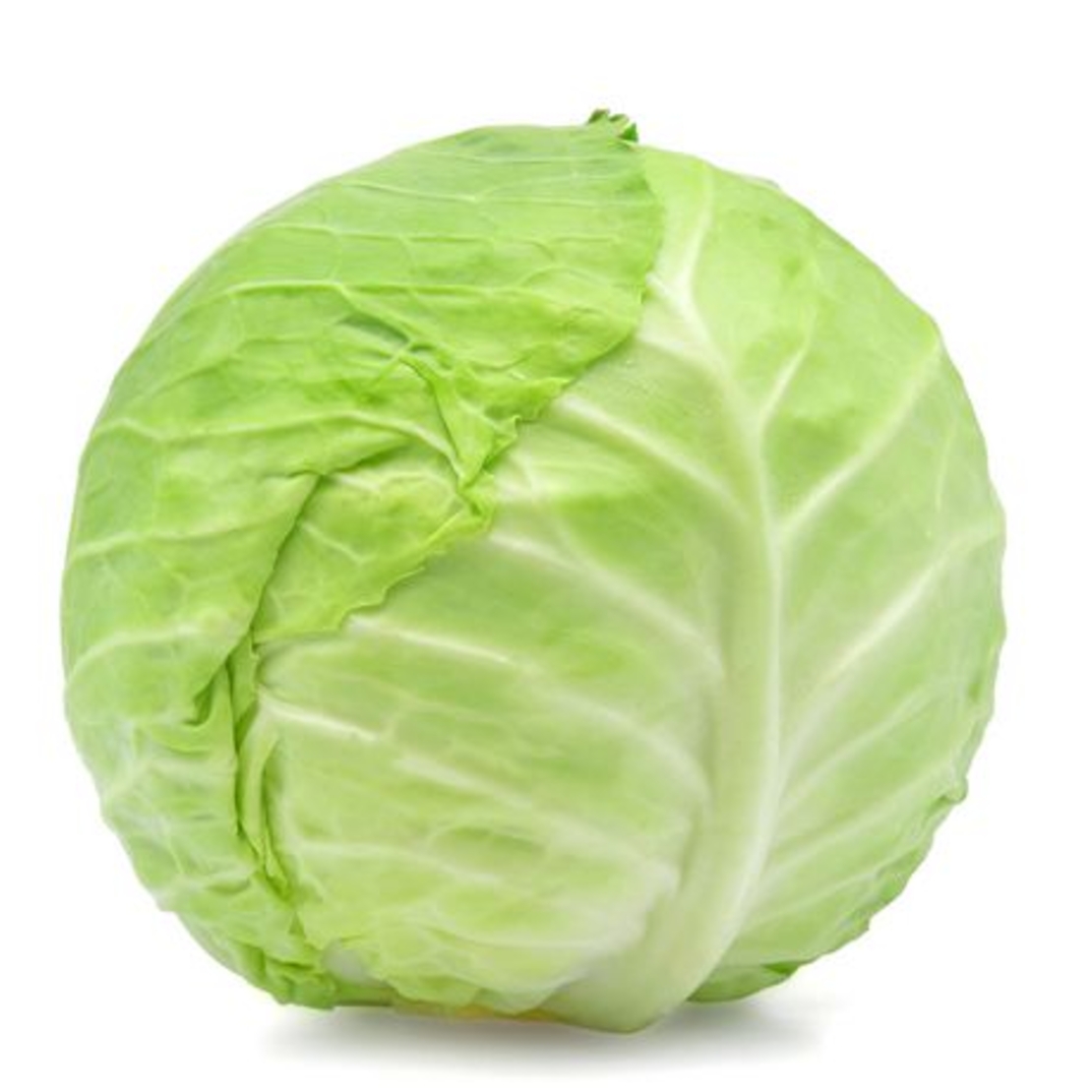 Cabbage 1k