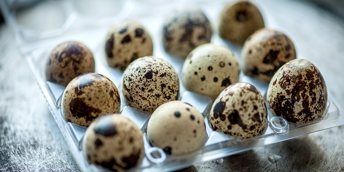Tray of Quail Eggs